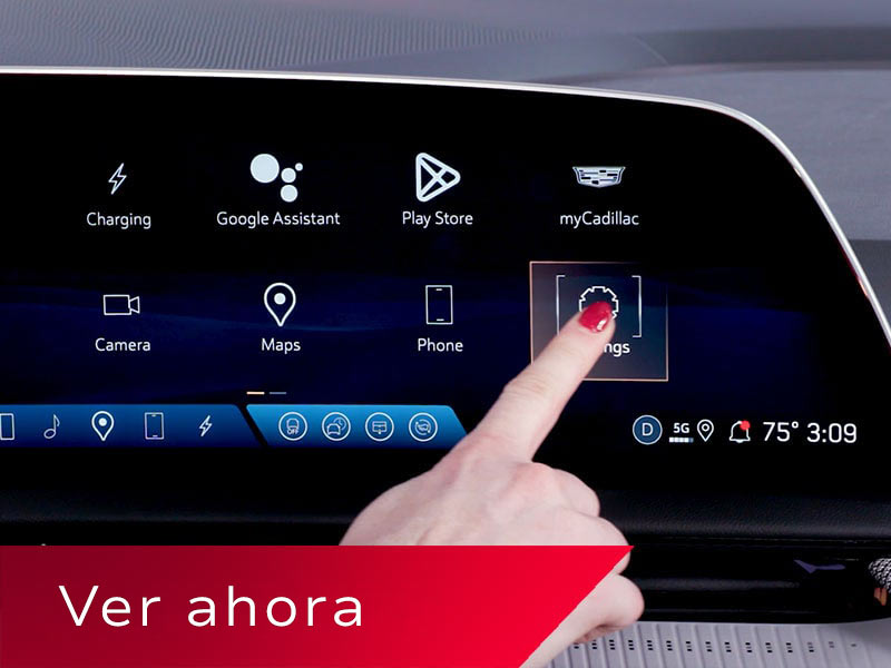 prueba