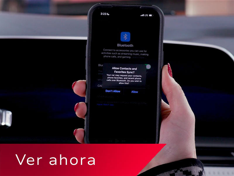 prueba