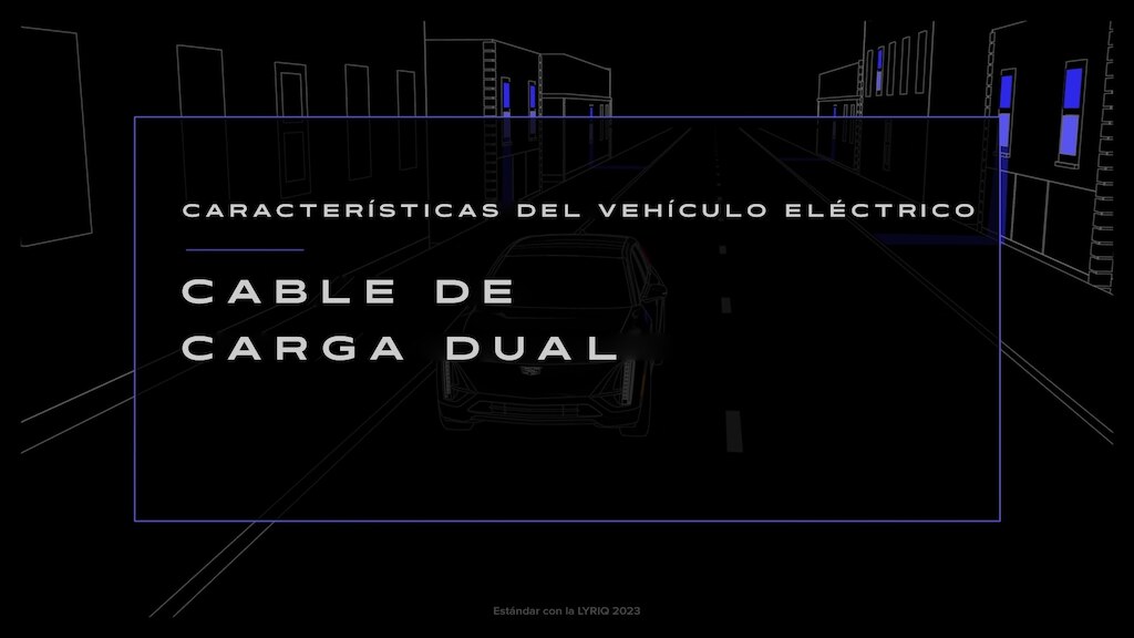 cable de carga dual