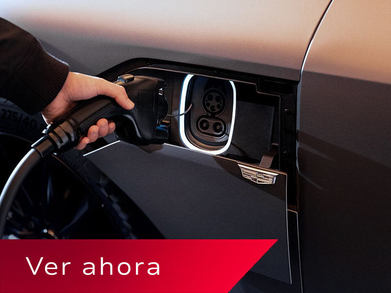 prueba