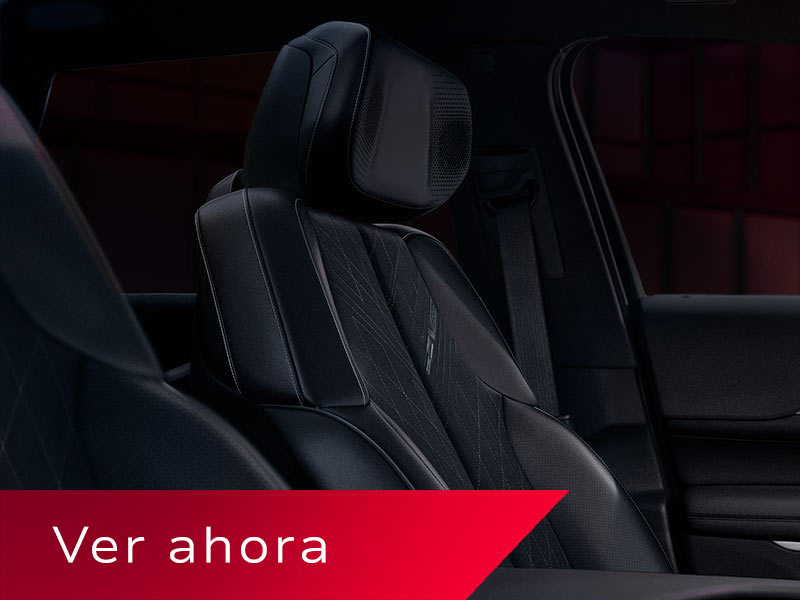 prueba